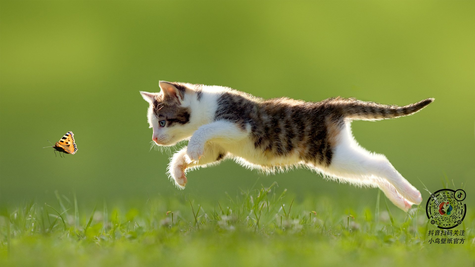 中国青少年篮球训练体系逐步走向制度化、专业化，中国青少年篮球发展