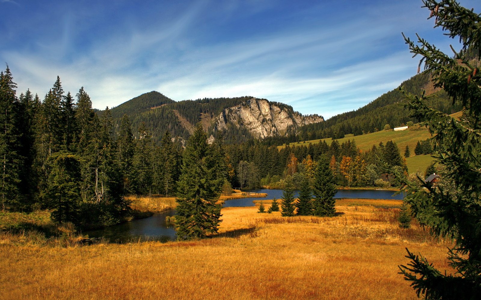 伊朗男足在巴黎奥运会上表现出色，赢得奖牌，伊朗 男足