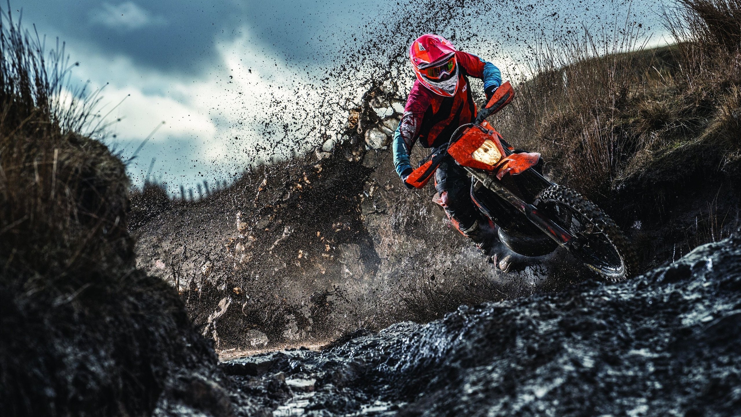 阿莱克西决赛发挥成赛场大赢家，阿莱克西亚萌娘百科