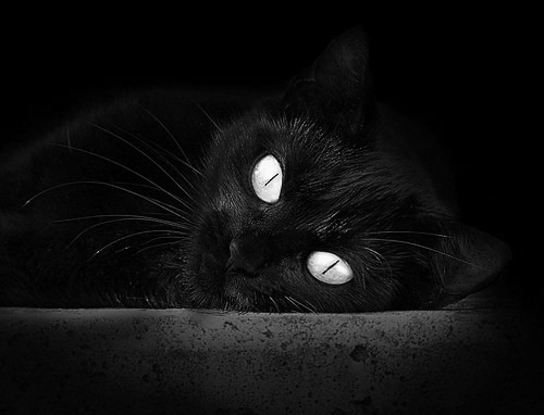 全国青少年“篮球争霸赛”火热进行，彰显青春活力，jl3×3青少年篮球公开赛